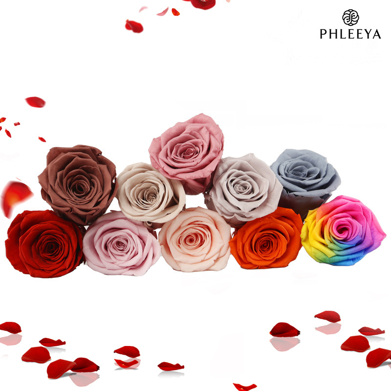6 stuks eeuwige rozenbloemhoof - Wedding Supply Bulk recensie en prijs